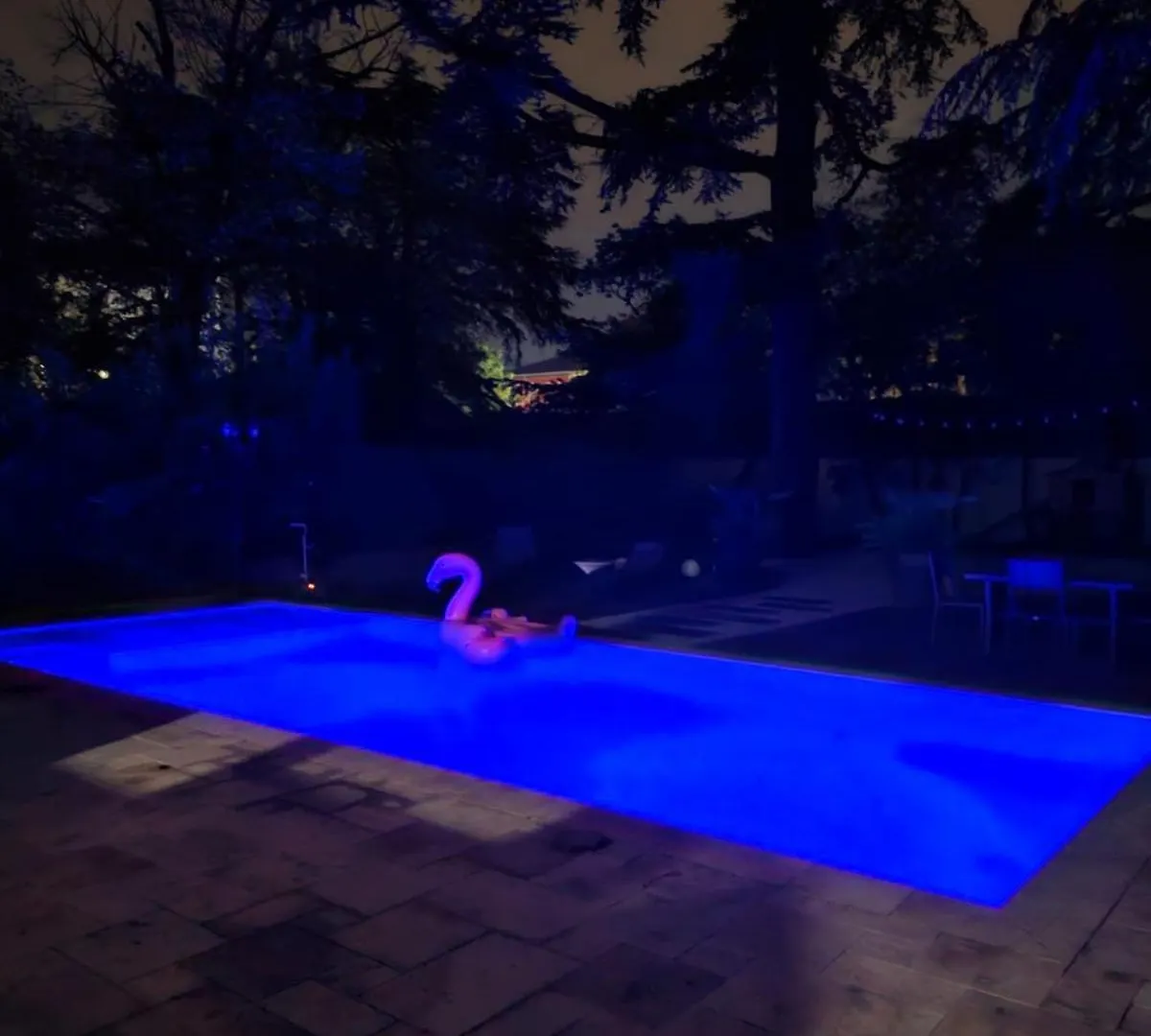 Perle Rare En Ville- Chateau Grandclement- 4 Ou 6 Pers - Piscine - Parc Villeurbanne